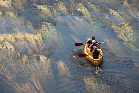 Canoë sur la Dordogne © M. Turin