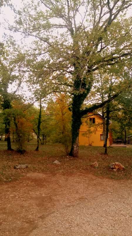 Le chalet Figeac