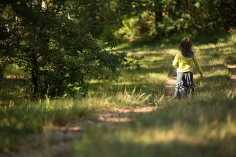 18 ha de bois au Bastit dans le Lot