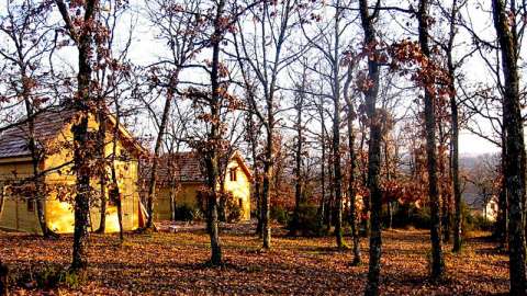 Les châlets du bois de Faral